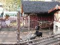 Abenteuerspielplatz-Panama in der Neustadt-Antonstadt