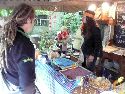 Frühlingsfest Freiraum Elbtal