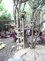 Frühlingsfest Freiraum Elbtal