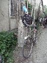 Frühlingsfest Freiraum Elbtal