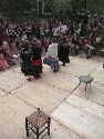 Frühlingsfest Freiraum Elbtal
