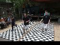 Frühlingsfest Freiraum Elbtal