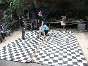 Frühlingsfest Freiraum Elbtal