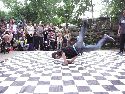 Frühlingsfest Freiraum Elbtal