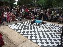 Frühlingsfest Freiraum Elbtal
