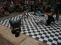 Frühlingsfest Freiraum Elbtal