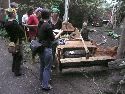 Frühlingsfest Freiraum Elbtal