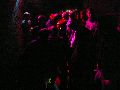 Hechtfest