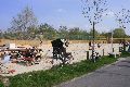 Pieschener Hafen