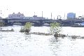 Pieschener Hafen