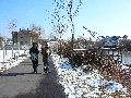 Winterspaziergang  an der Elbe, von Pieschen-Richtung Loschwitz-Blasewitz, mit einem besonderen Augenmerk auf die Waldschlösschenbückenbaustelle
