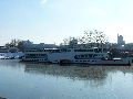 Winterspaziergang  an der Elbe, von Pieschen-Richtung Loschwitz-Blasewitz, mit einem besonderen Augenmerk auf die Waldschlösschenbückenbaustelle