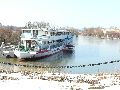Winterspaziergang  an der Elbe, von Pieschen-Richtung Loschwitz-Blasewitz, mit einem besonderen Augenmerk auf die Waldschlösschenbückenbaustelle