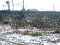 Winterspaziergang  an der Elbe, von Pieschen-Richtung Loschwitz-Blasewitz, mit einem besonderen Augenmerk auf die Waldschlösschenbückenbaustelle