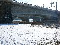 Winterspaziergang  an der Elbe, von Pieschen-Richtung Loschwitz-Blasewitz, mit einem besonderen Augenmerk auf die Waldschlösschenbückenbaustelle