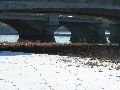 Winterspaziergang  an der Elbe, von Pieschen-Richtung Loschwitz-Blasewitz, mit einem besonderen Augenmerk auf die Waldschlösschenbückenbaustelle