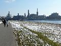 Winterspaziergang  an der Elbe, von Pieschen-Richtung Loschwitz-Blasewitz, mit einem besonderen Augenmerk auf die Waldschlösschenbückenbaustelle