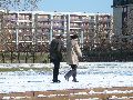 Winterspaziergang  an der Elbe, von Pieschen-Richtung Loschwitz-Blasewitz, mit einem besonderen Augenmerk auf die Waldschlösschenbückenbaustelle