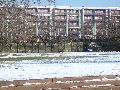 Winterspaziergang  an der Elbe, von Pieschen-Richtung Loschwitz-Blasewitz, mit einem besonderen Augenmerk auf die Waldschlösschenbückenbaustelle
