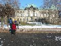 Winterspaziergang  an der Elbe, von Pieschen-Richtung Loschwitz-Blasewitz, mit einem besonderen Augenmerk auf die Waldschlösschenbückenbaustelle