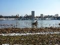 Winterspaziergang  an der Elbe, von Pieschen-Richtung Loschwitz-Blasewitz, mit einem besonderen Augenmerk auf die Waldschlösschenbückenbaustelle