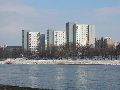 Winterspaziergang  an der Elbe, von Pieschen-Richtung Loschwitz-Blasewitz, mit einem besonderen Augenmerk auf die Waldschlösschenbückenbaustelle