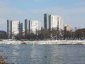 Winterspaziergang  an der Elbe, von Pieschen-Richtung Loschwitz-Blasewitz, mit einem besonderen Augenmerk auf die Waldschlösschenbückenbaustelle