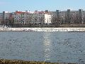 Winterspaziergang  an der Elbe, von Pieschen-Richtung Loschwitz-Blasewitz, mit einem besonderen Augenmerk auf die Waldschlösschenbückenbaustelle