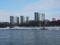 Winterspaziergang  an der Elbe, von Pieschen-Richtung Loschwitz-Blasewitz, mit einem besonderen Augenmerk auf die Waldschlösschenbückenbaustelle
