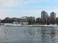 Winterspaziergang  an der Elbe, von Pieschen-Richtung Loschwitz-Blasewitz, mit einem besonderen Augenmerk auf die Waldschlösschenbückenbaustelle