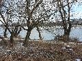 Winterspaziergang  an der Elbe, von Pieschen-Richtung Loschwitz-Blasewitz, mit einem besonderen Augenmerk auf die Waldschlösschenbückenbaustelle