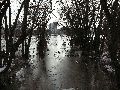 Winterspaziergang  an der Elbe, von Pieschen-Richtung Loschwitz-Blasewitz, mit einem besonderen Augenmerk auf die Waldschlösschenbückenbaustelle
