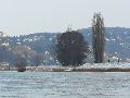 Winterspaziergang  an der Elbe, von Pieschen-Richtung Loschwitz-Blasewitz, mit einem besonderen Augenmerk auf die Waldschlösschenbückenbaustelle
