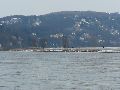 Winterspaziergang  an der Elbe, von Pieschen-Richtung Loschwitz-Blasewitz, mit einem besonderen Augenmerk auf die Waldschlösschenbückenbaustelle