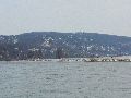 Winterspaziergang  an der Elbe, von Pieschen-Richtung Loschwitz-Blasewitz, mit einem besonderen Augenmerk auf die Waldschlösschenbückenbaustelle
