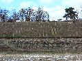 Winterspaziergang  an der Elbe, von Pieschen-Richtung Loschwitz-Blasewitz, mit einem besonderen Augenmerk auf die Waldschlösschenbückenbaustelle