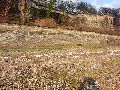 Winterspaziergang  an der Elbe, von Pieschen-Richtung Loschwitz-Blasewitz, mit einem besonderen Augenmerk auf die Waldschlösschenbückenbaustelle