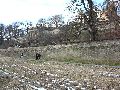 Winterspaziergang  an der Elbe, von Pieschen-Richtung Loschwitz-Blasewitz, mit einem besonderen Augenmerk auf die Waldschlösschenbückenbaustelle