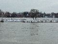 Winterspaziergang  an der Elbe, von Pieschen-Richtung Loschwitz-Blasewitz, mit einem besonderen Augenmerk auf die Waldschlösschenbückenbaustelle