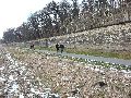 Winterspaziergang  an der Elbe, von Pieschen-Richtung Loschwitz-Blasewitz, mit einem besonderen Augenmerk auf die Waldschlösschenbückenbaustelle