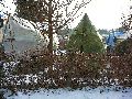 Winterspaziergang  an der Elbe, von Pieschen-Richtung Loschwitz-Blasewitz, mit einem besonderen Augenmerk auf die Waldschlösschenbückenbaustelle