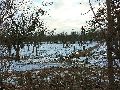Winterspaziergang  an der Elbe, von Pieschen-Richtung Loschwitz-Blasewitz, mit einem besonderen Augenmerk auf die Waldschlösschenbückenbaustelle