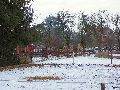 Winterspaziergang  an der Elbe, von Pieschen-Richtung Loschwitz-Blasewitz, mit einem besonderen Augenmerk auf die Waldschlösschenbückenbaustelle