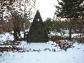 Winterspaziergang  an der Elbe, von Pieschen-Richtung Loschwitz-Blasewitz, mit einem besonderen Augenmerk auf die Waldschlösschenbückenbaustelle