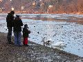Winterspaziergang  an der Elbe, von Pieschen-Richtung Loschwitz-Blasewitz, mit einem besonderen Augenmerk auf die Waldschlösschenbückenbaustelle