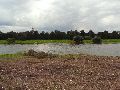 Die Pieschener Hafenstadtlandschaft von der Neuen Molebrücke aus gesehen