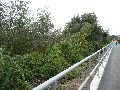  Die Pieschener Hafenstadtlandschaft von der Neuen Molebrücke aus gesehen