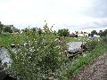  Die Pieschener Hafenstadtlandschaft von der Neuen Molebrücke aus gesehen