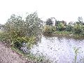  Die Pieschener Hafenstadtlandschaft von der Neuen Molebrücke aus gesehen