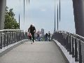  Die Pieschener Hafenstadtlandschaft von der Neuen Molebrücke aus gesehen